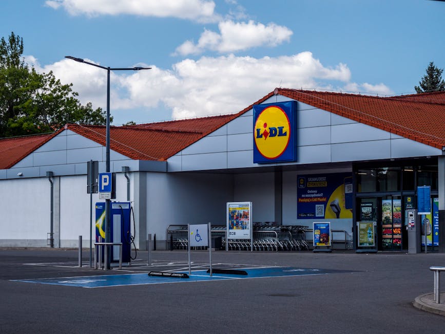 prise télécommandée lidl